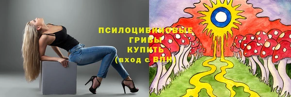 первитин Алексеевка