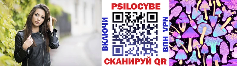 где найти Пугачёв Псилоцибиновые грибы MAGIC MUSHROOMS